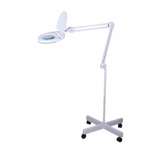 LED Floor Stand Surgical Dental Magnifying Lamps (BM-6025-5)